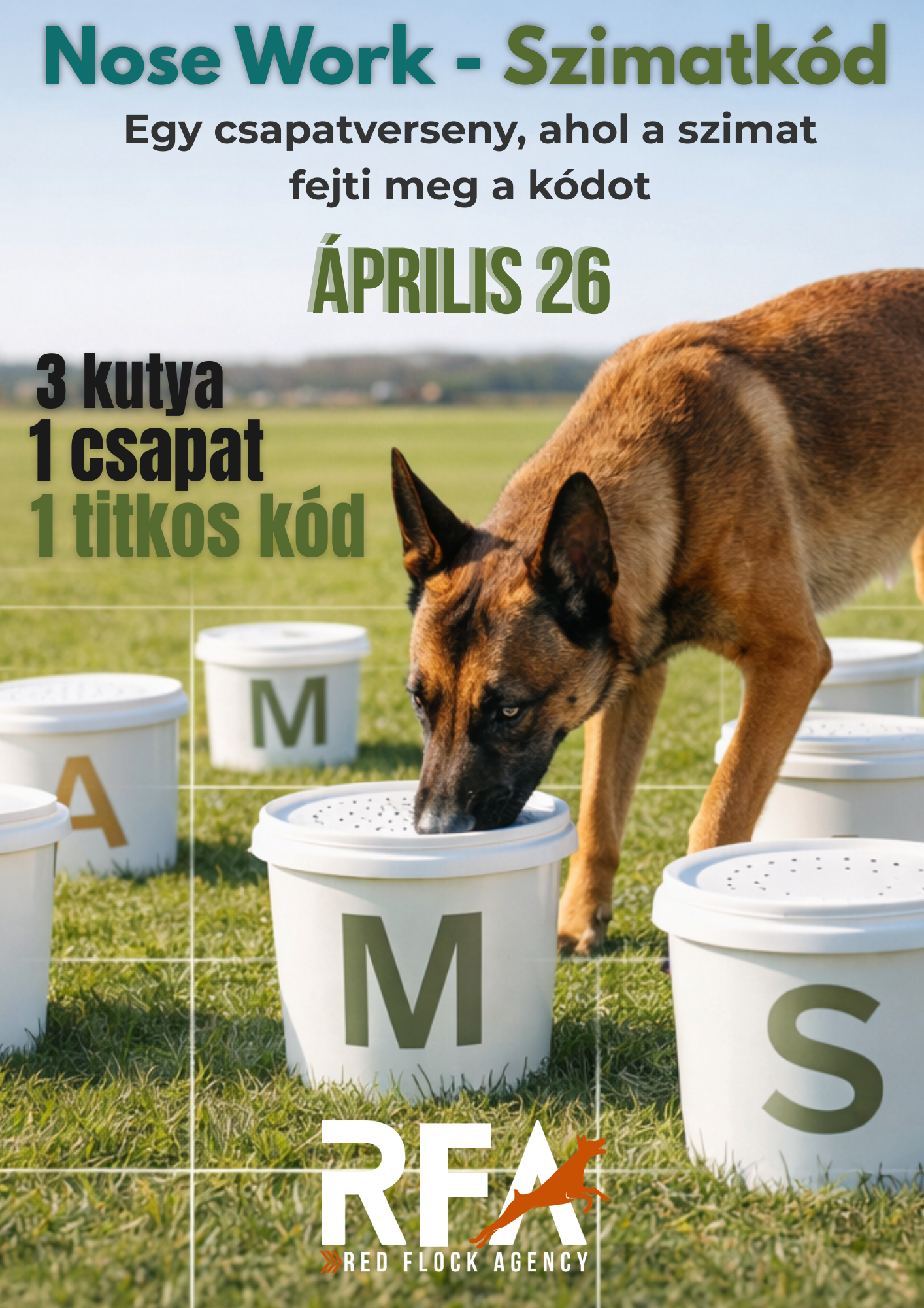 Nose Work The Scent Code esemény flyer